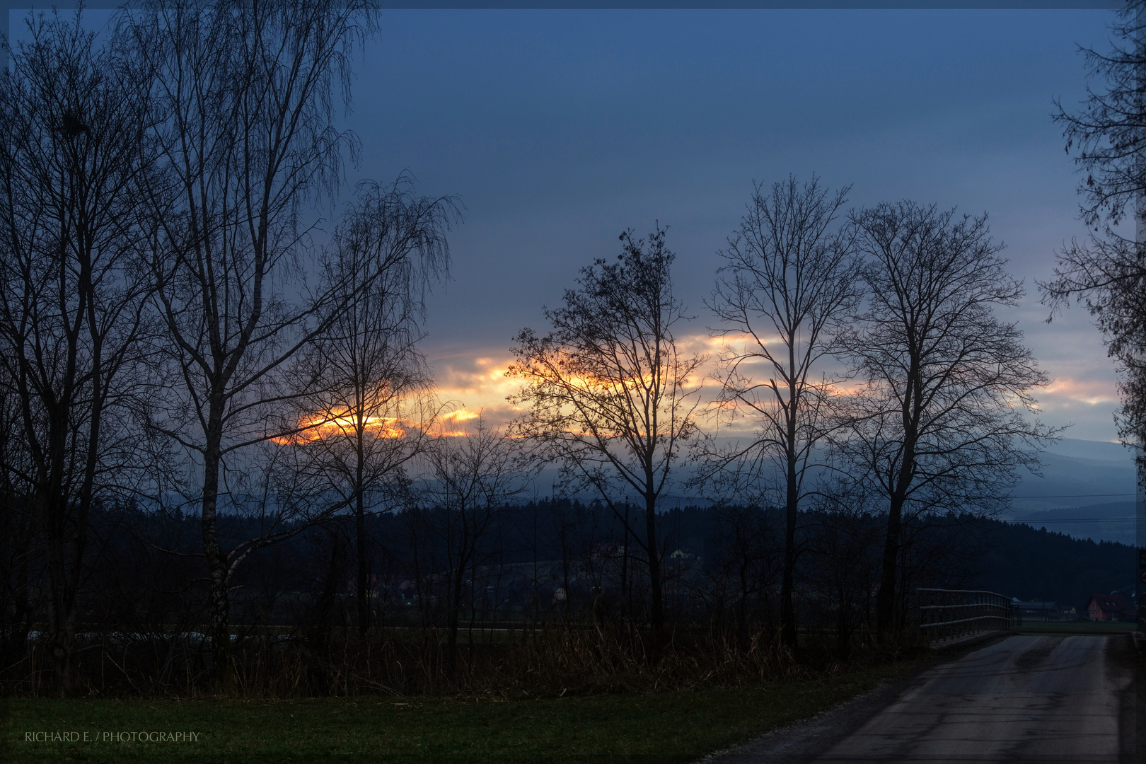 Baumlandschaft zur blauen Stunde