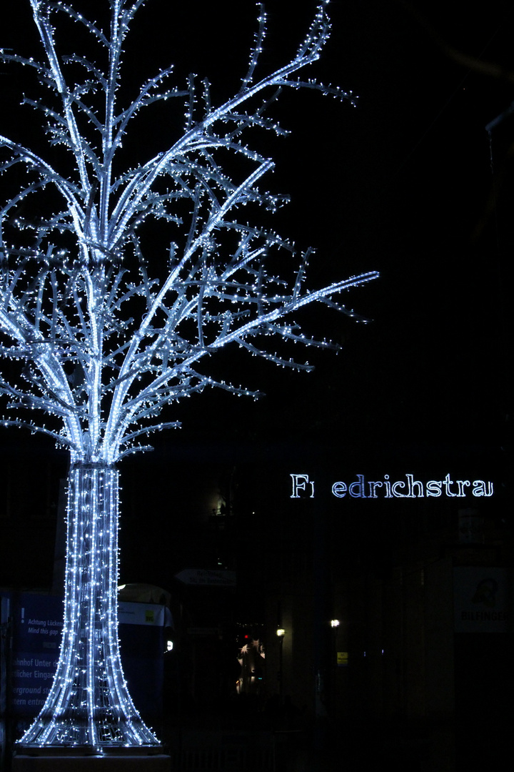 Baumleuchten in der Friedrichstraße