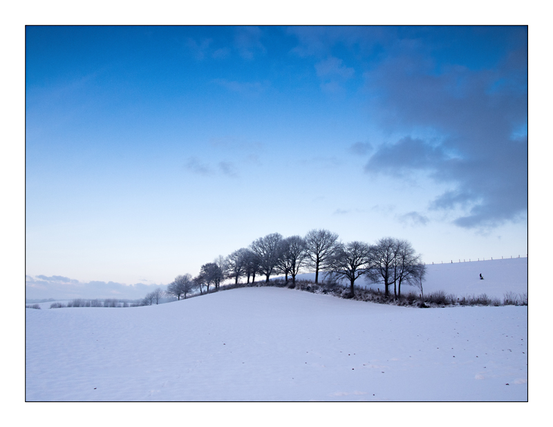 Baumlinie blau-weiß