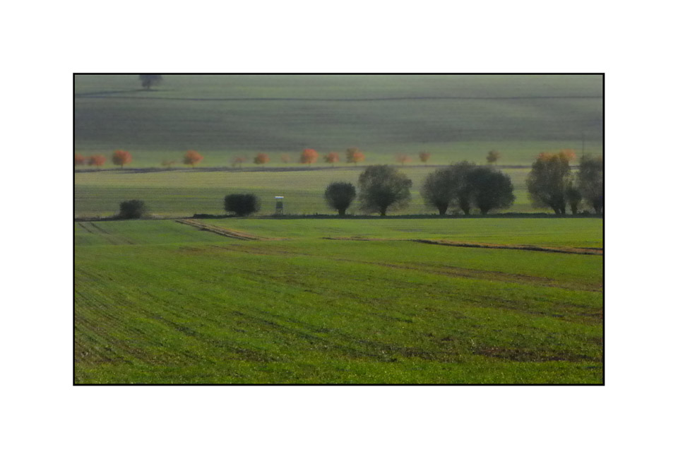 "Baumlinien"