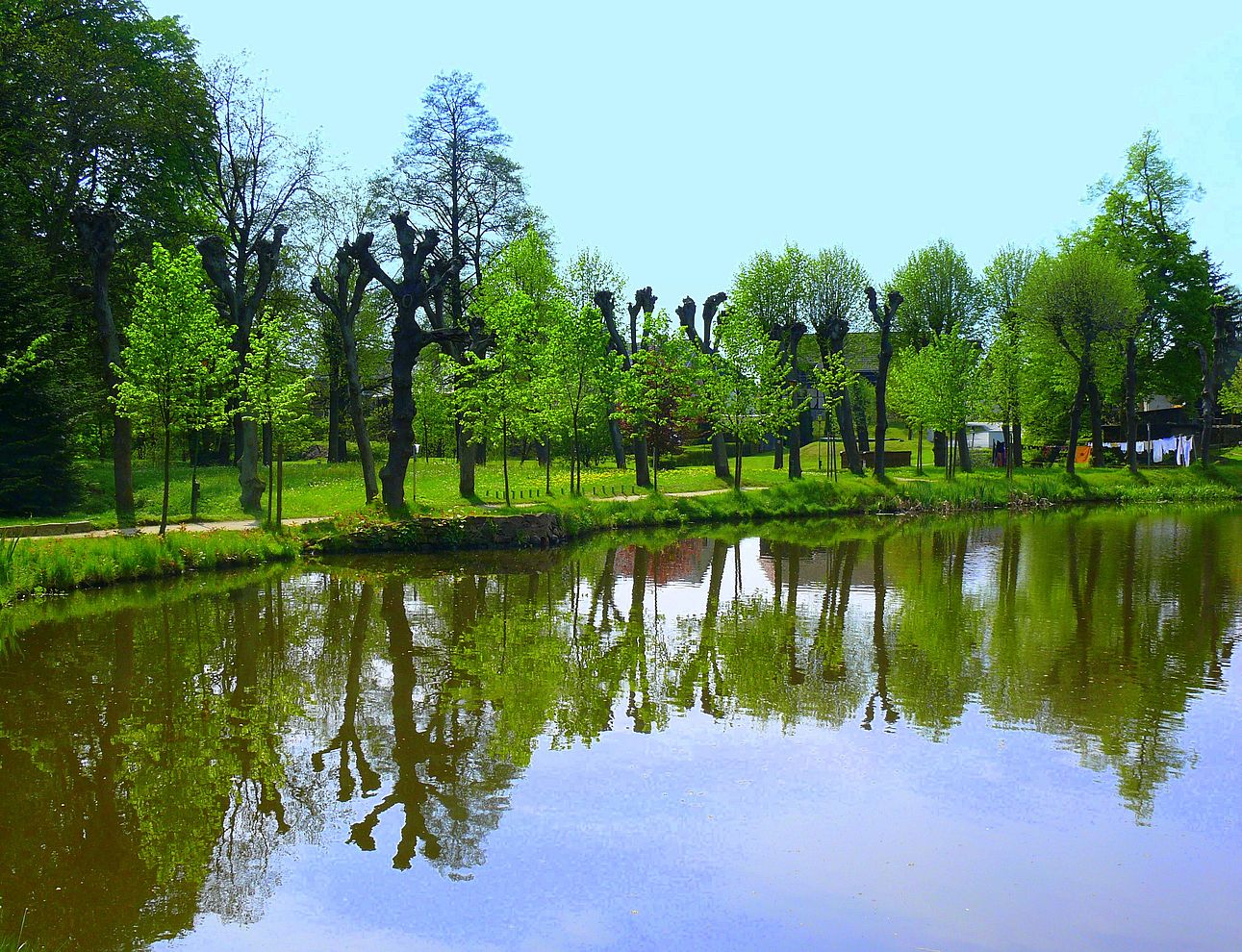 Baumparade am Schlossteich