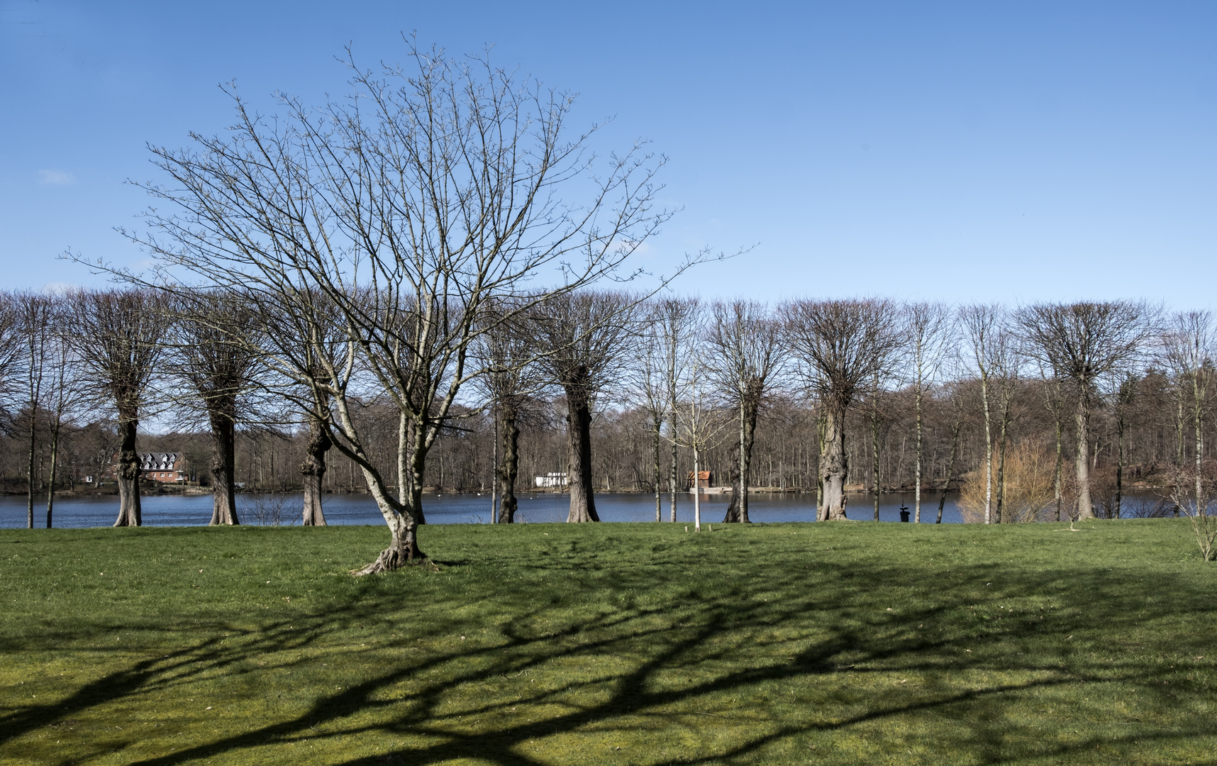 Baumparade im Schlossgarten von Glücksburg