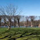 Baumparade im Schlossgarten von Glücksburg