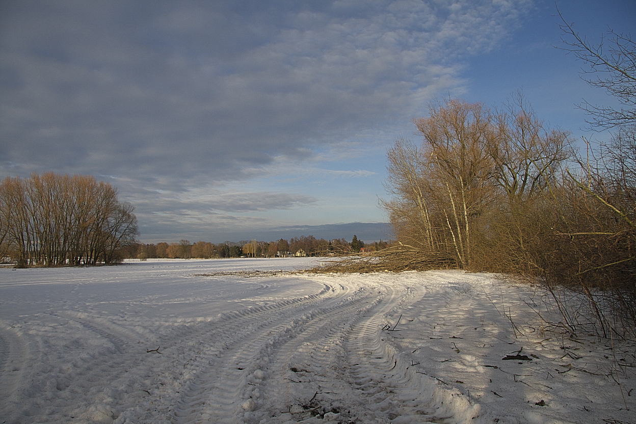 Baumpflege im Naturschutzgebiet "Schwarzer Weg" 9384