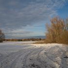 Baumpflege im Naturschutzgebiet "Schwarzer Weg" 9384