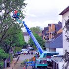 Baumpflege in luftiger Höhe