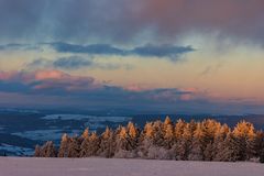 Baumreihe auf der Wasserkuppe