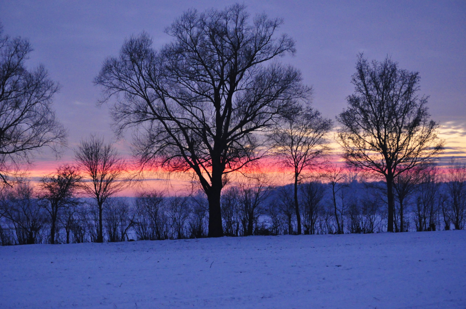 Baumreihe