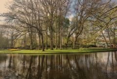 Baumreihe im Keukenhofgarten