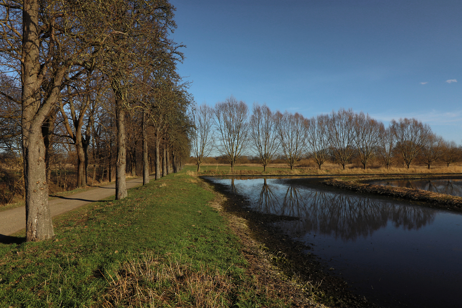 Baumreihen am Wasser