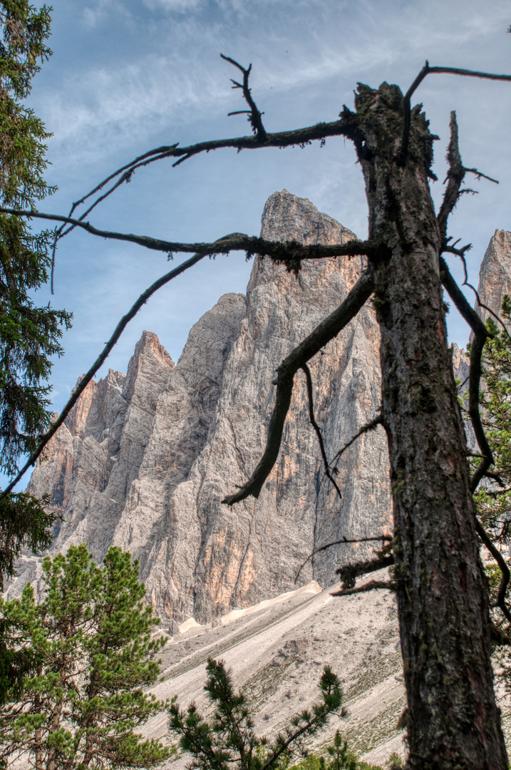 Baumruine