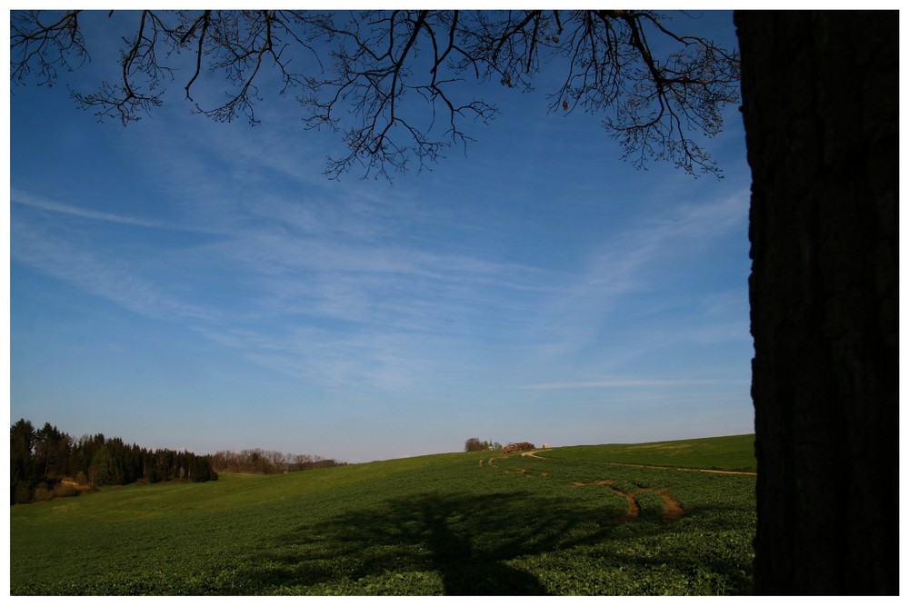 Baum&Schatten