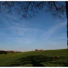 Baum&Schatten