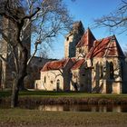 Baumschatten auf Kapelle