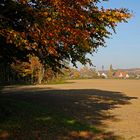 Baumschatten im Herbst