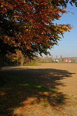 Baumschatten im Herbst