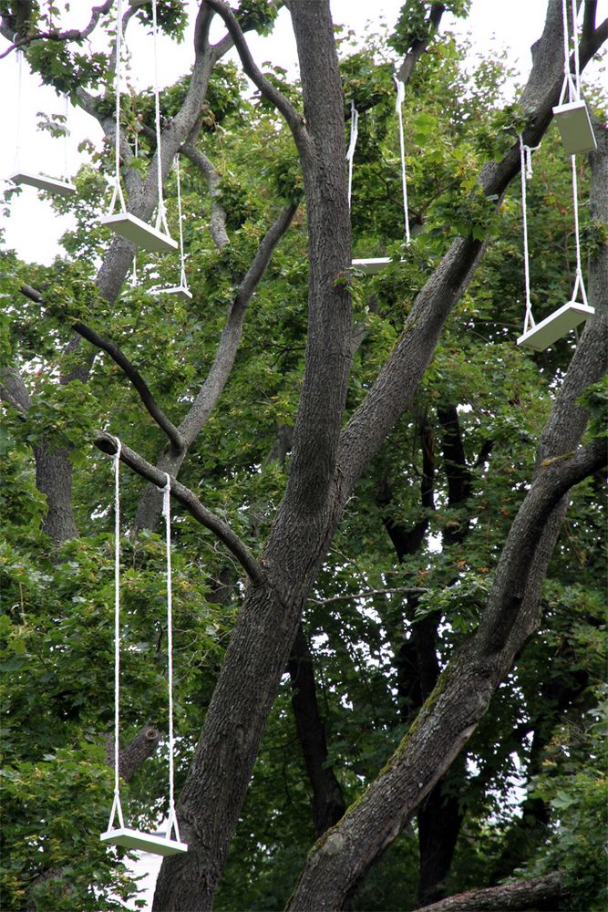 Baumschaukel Foto & Bild | art, park, spezial Bilder auf fotocommunity