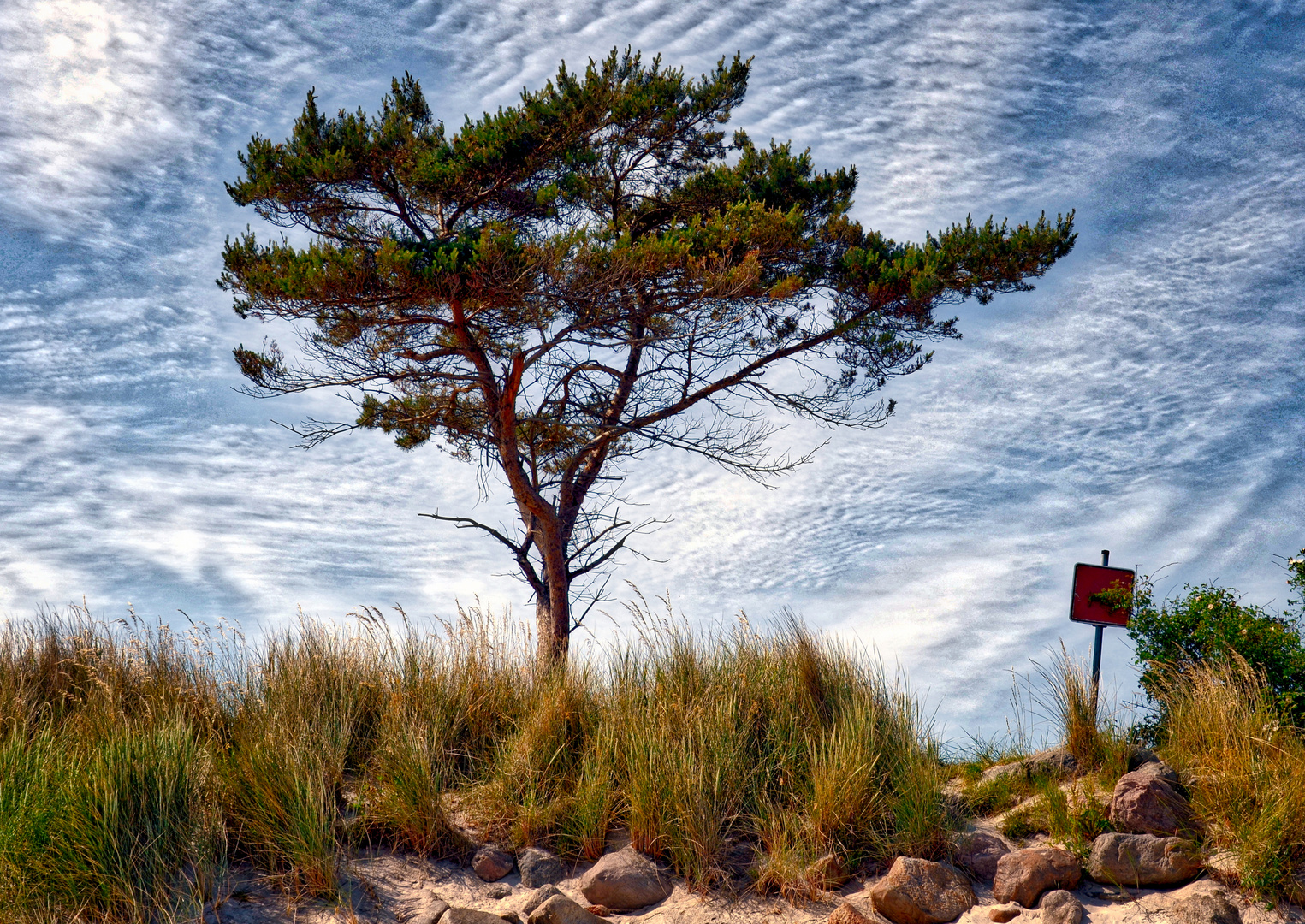 baum&schild