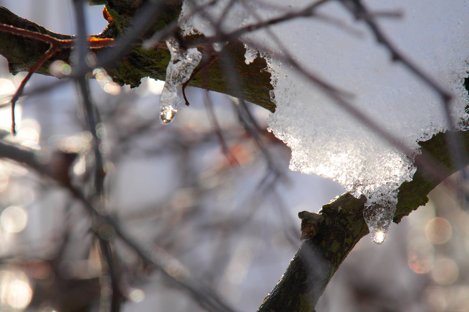 Baumschmuck