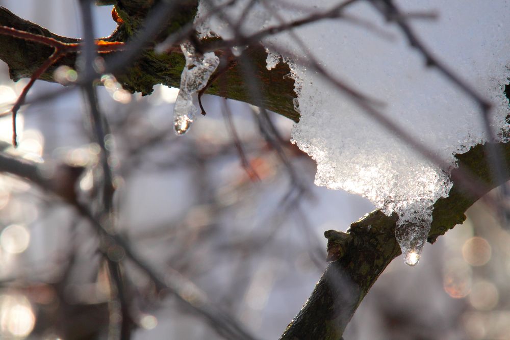 Baumschmuck by Elfe-17 