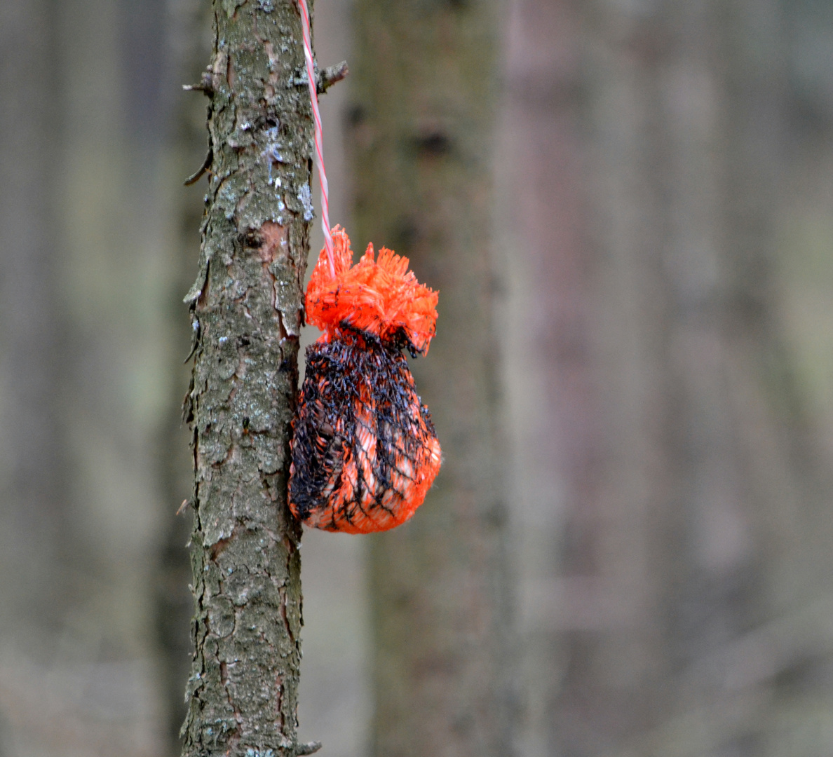 Baumschmuck