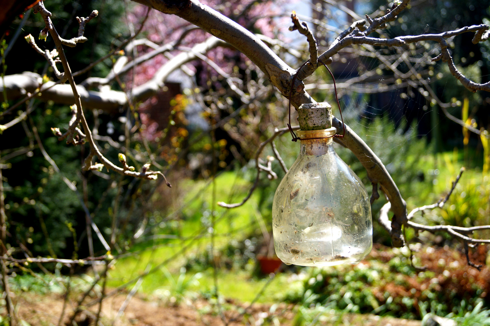 Baumschmuck