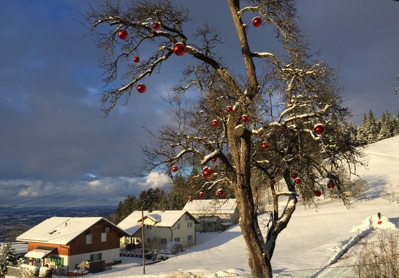 Baumschmuck ...