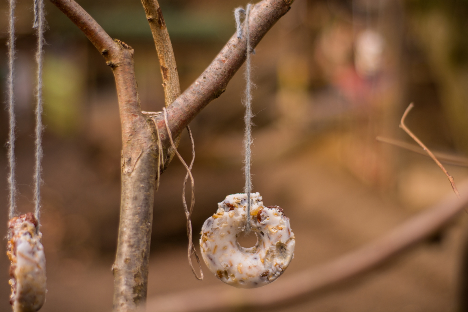 Baumschmuck den die Vögel lieben im Waldkindergarten Kupfersiefer Tal