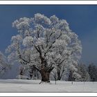 Baumschmuck I