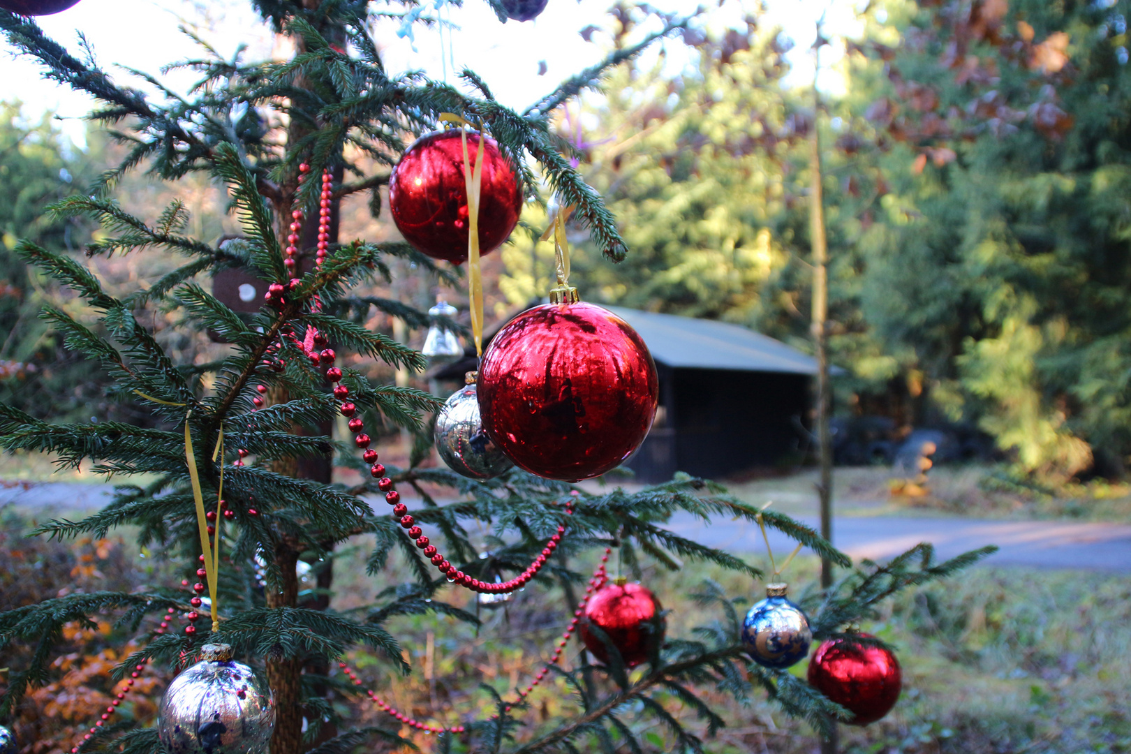 Baumschmuck im Wald