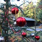 Baumschmuck im Wald