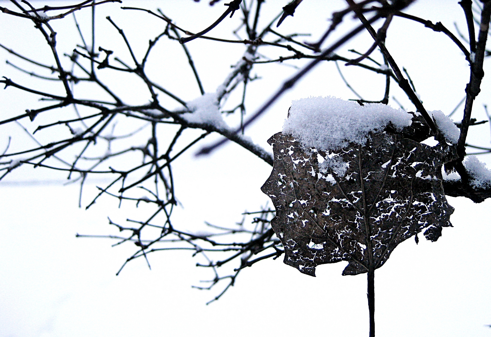 Baumschmuck - Variante