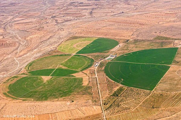 Baumschule für Olivenbäume am Rande der Sahara in Tunesien