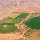 Baumschule für Olivenbäume am Rande der Sahara in Tunesien