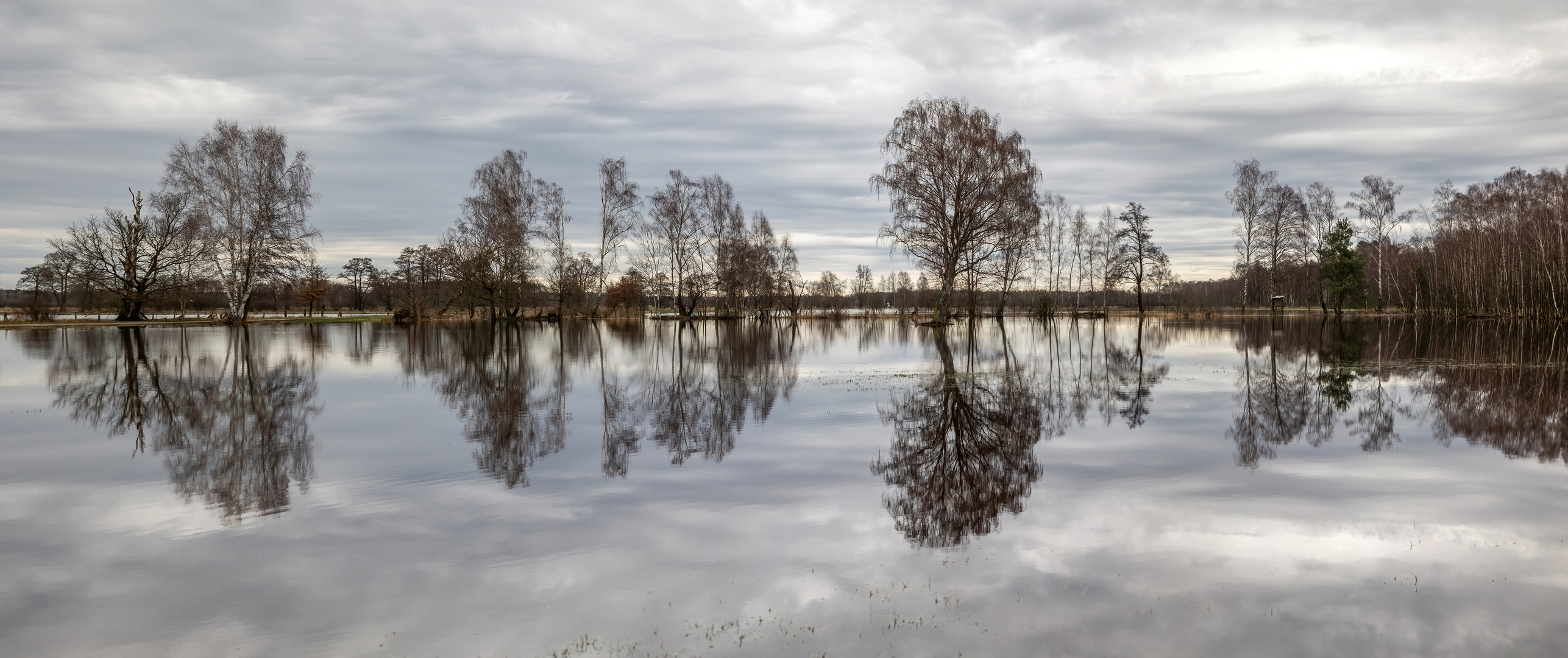 Baumspiegel Pano