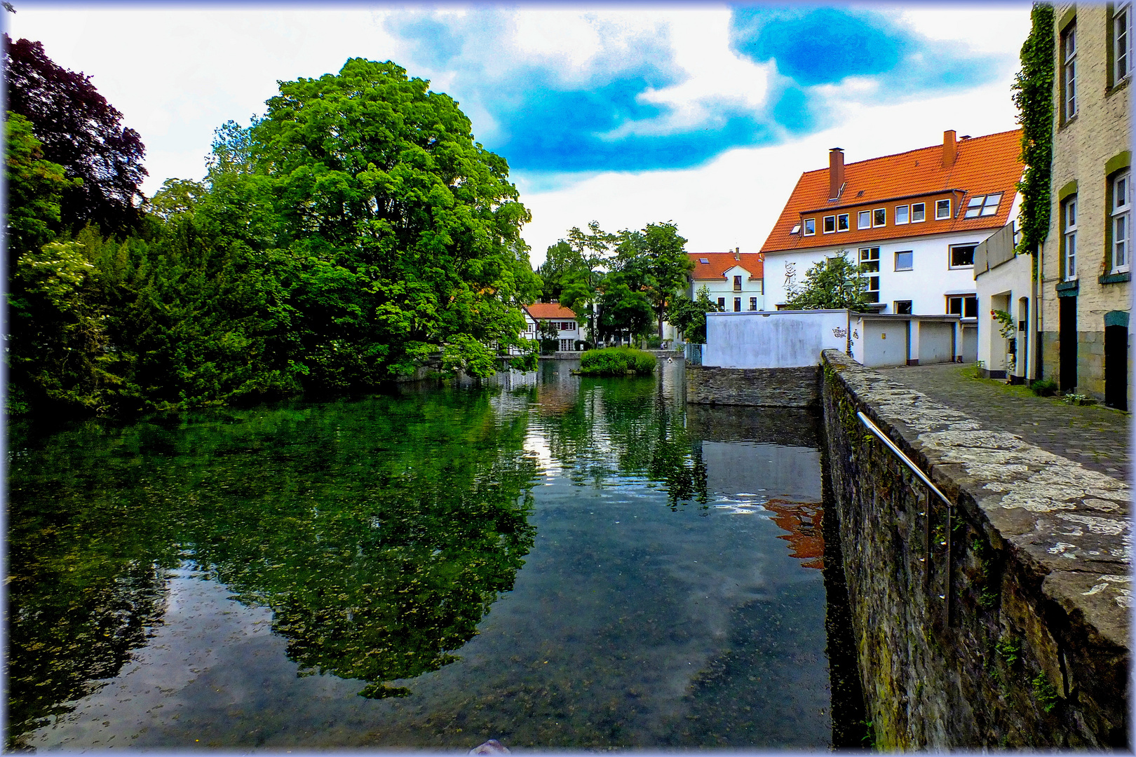 Baumspiegelung ...