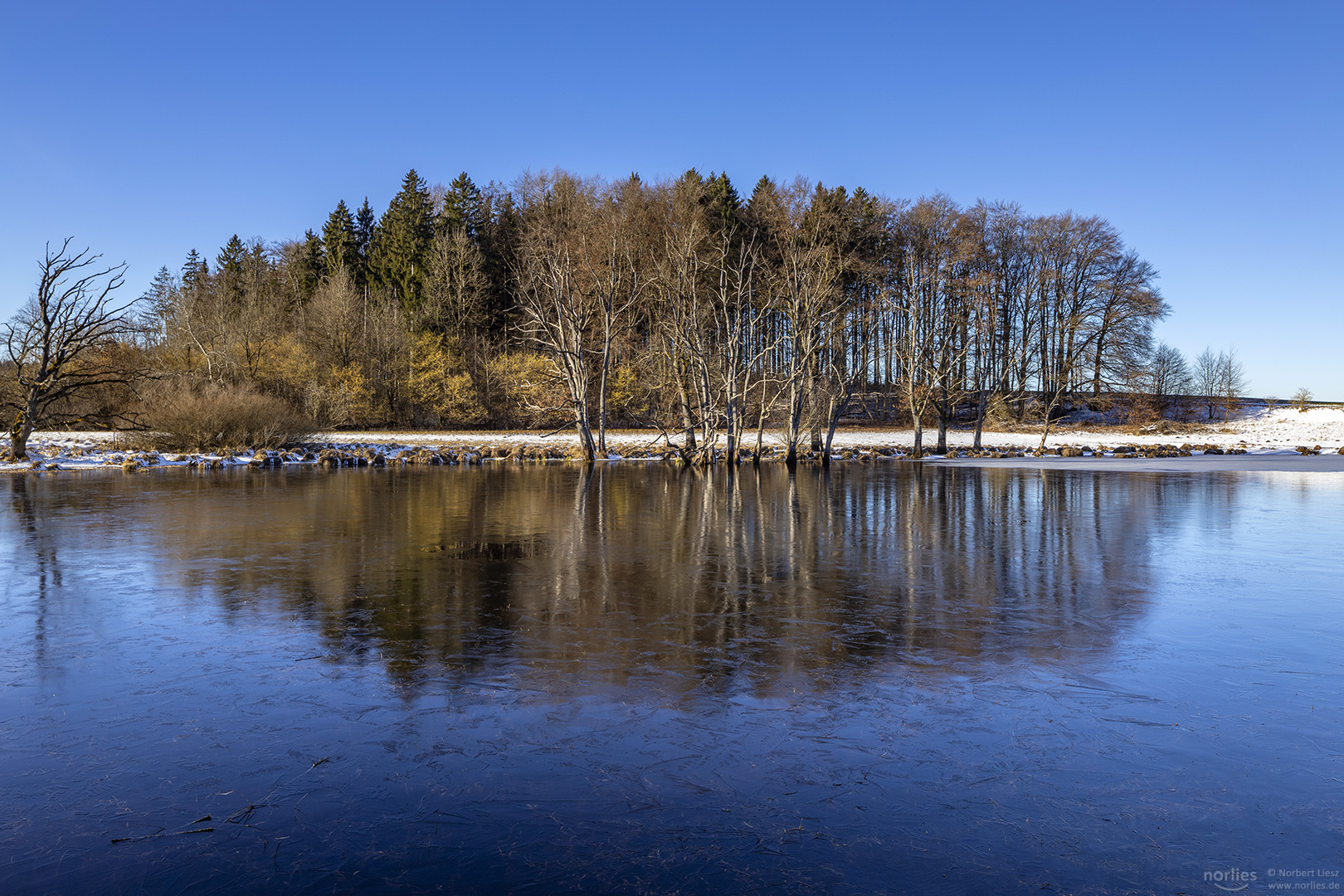 Baumspiegelung am gefrorenen See