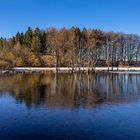 Baumspiegelung am gefrorenen See