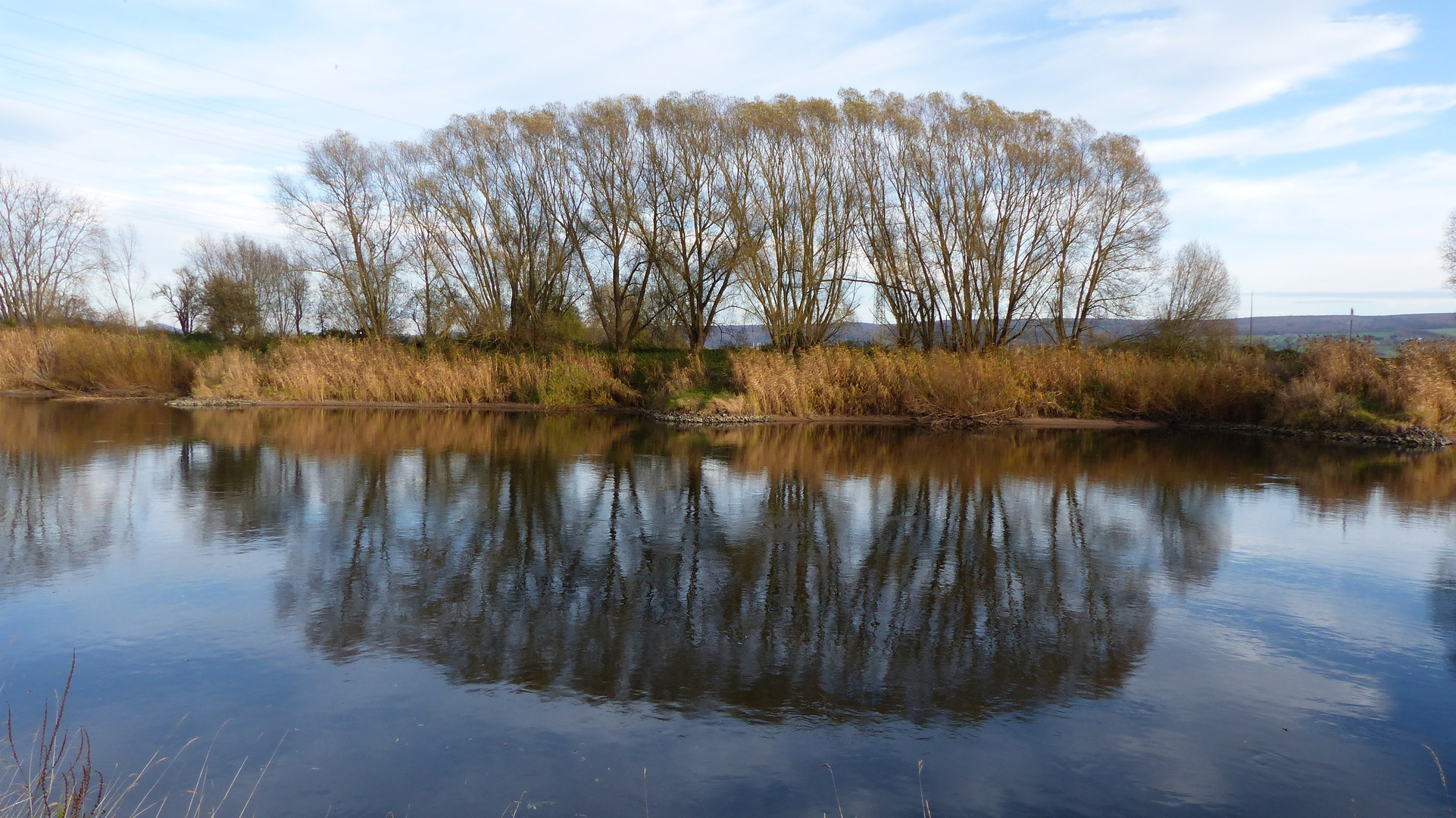 Baumspiegelungen in der Weser