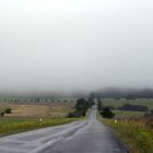 Baumspitzen in Wolkenschleiern