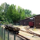 Baumstämme waren ein wichtiges Transportgut bei der Waldeisenbahn Muskau