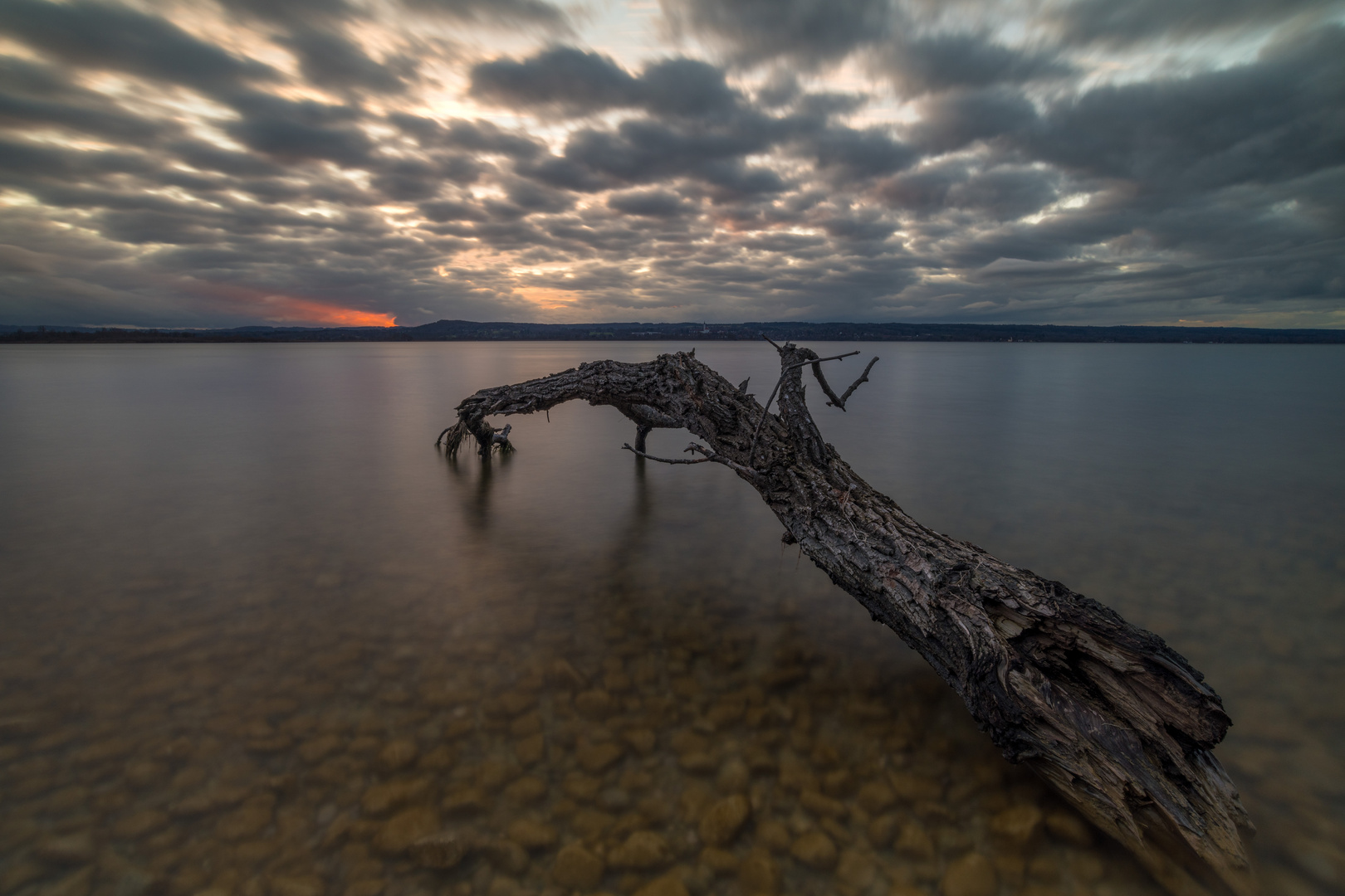 Baumstamm am Ammersee