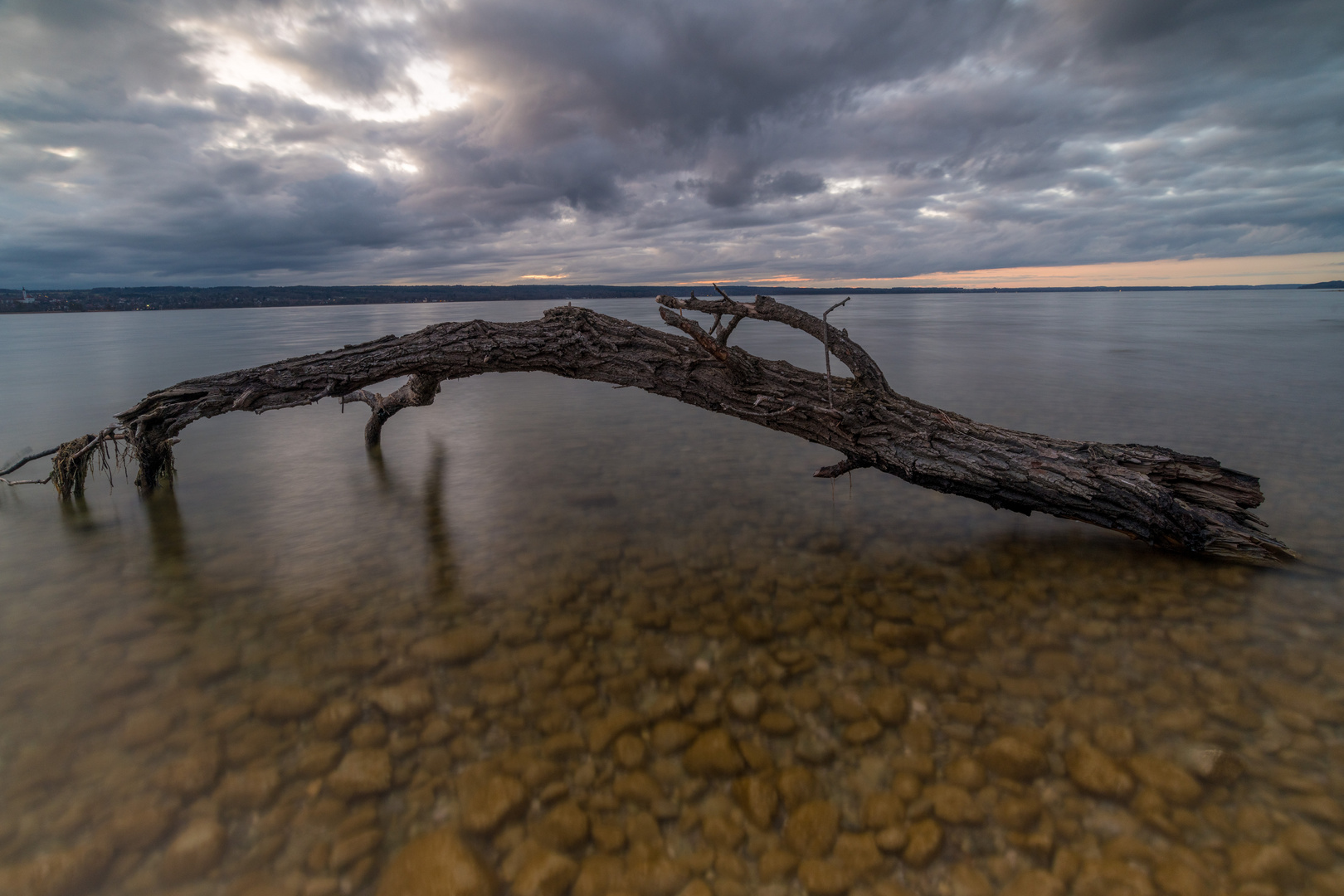 Baumstamm am See