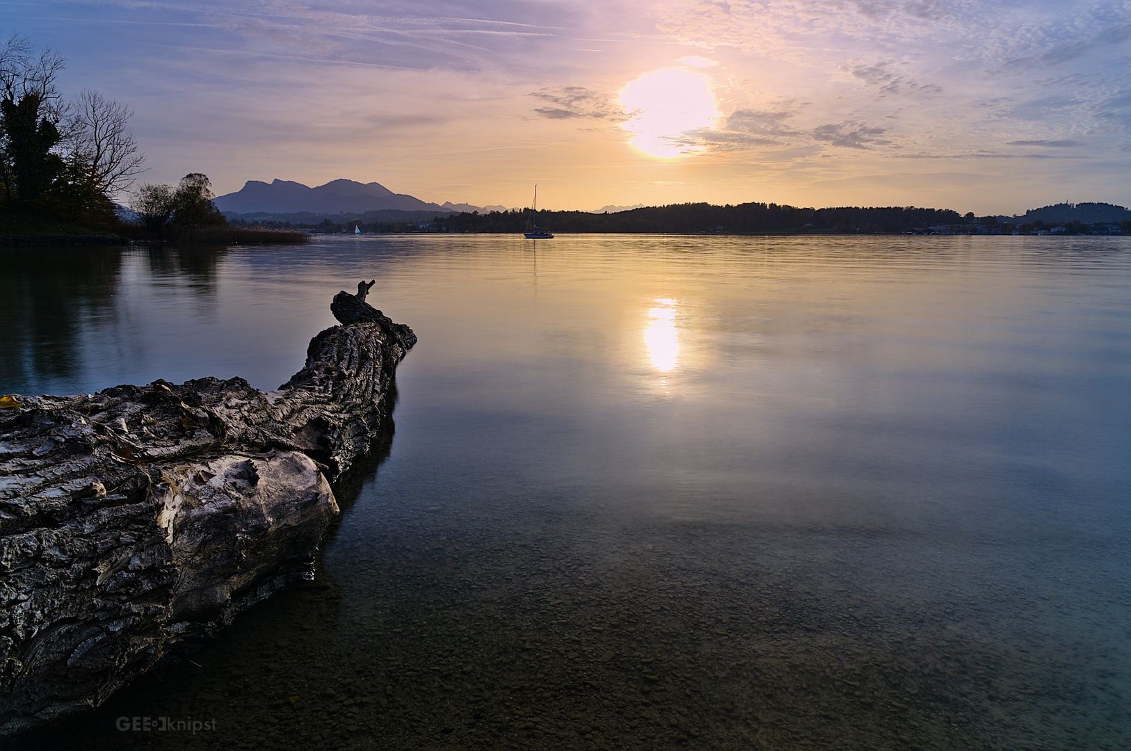 Baumstamm im See