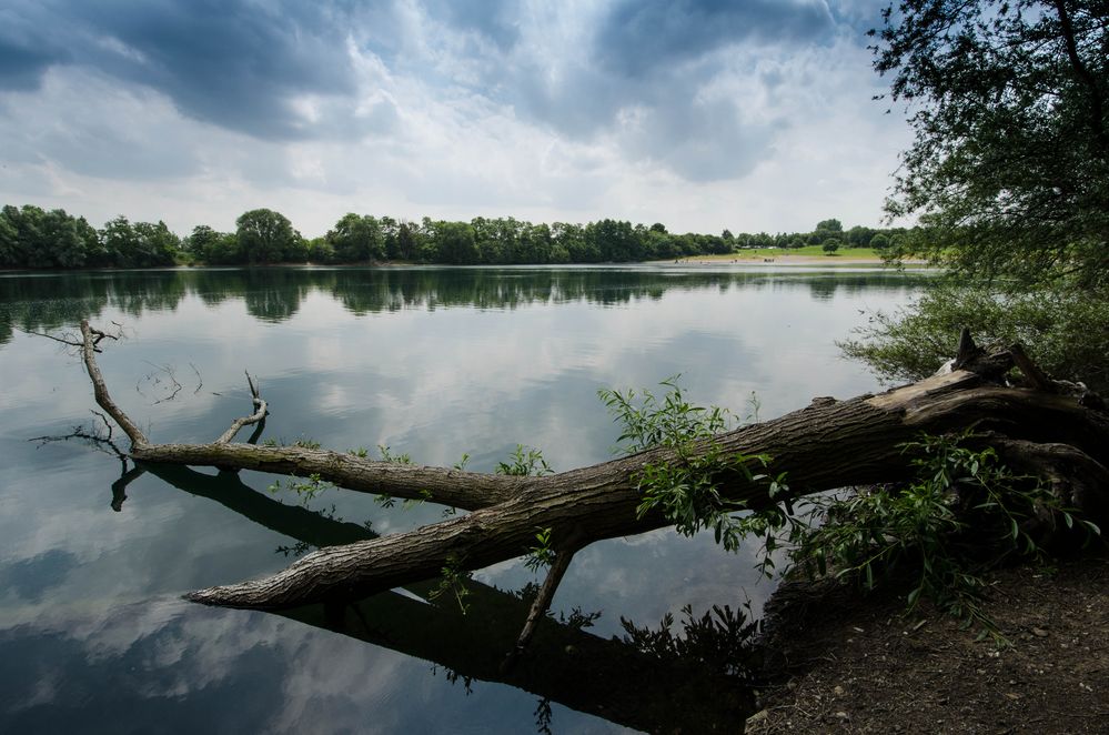 Baumstamm im See Foto & Bild landschaft, bach, fluss & see, see