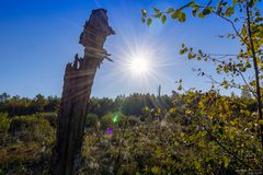 Baumstamm mit Sonnenstern