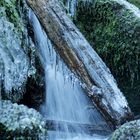 Baumstamm mit Wasserfall