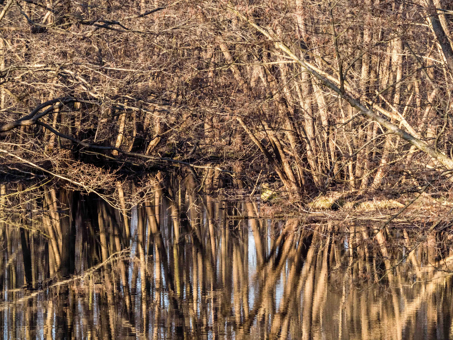 Baumstammmikado am Fluss