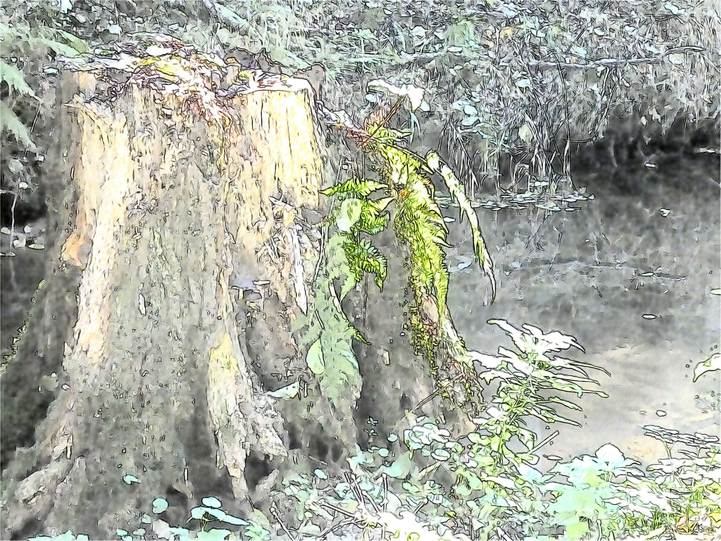 Baumstumpf am Bach