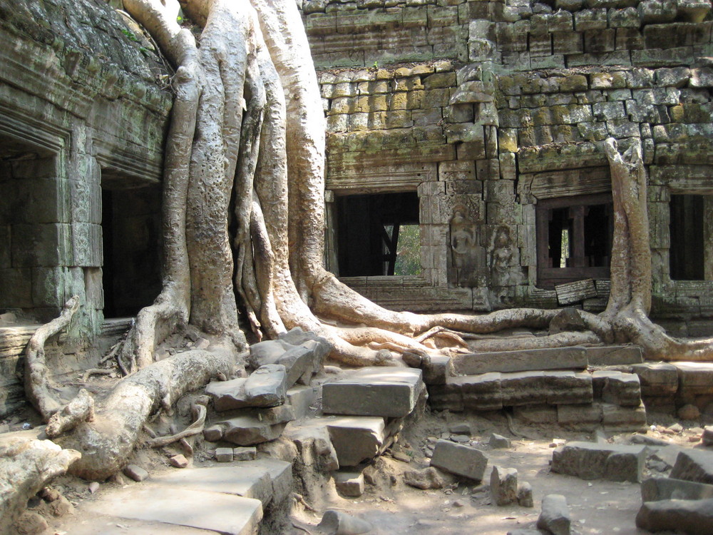 Baumtempel, Angkor Wat